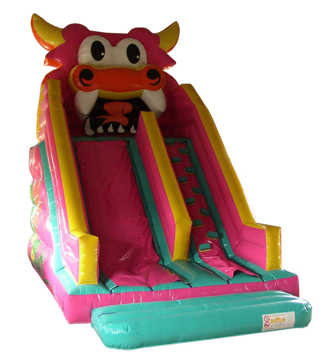Magic Dragon Slide