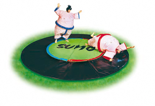 Sumo Wrestling