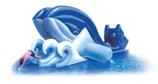 Whale Slide